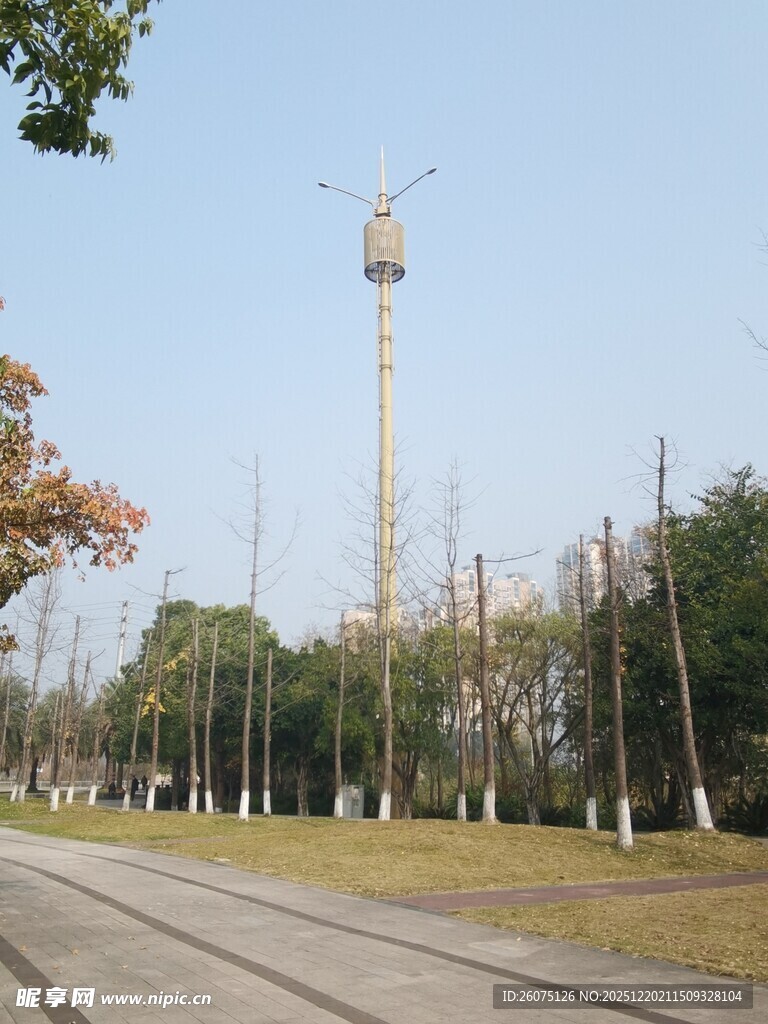 公园中的高耸塔吊