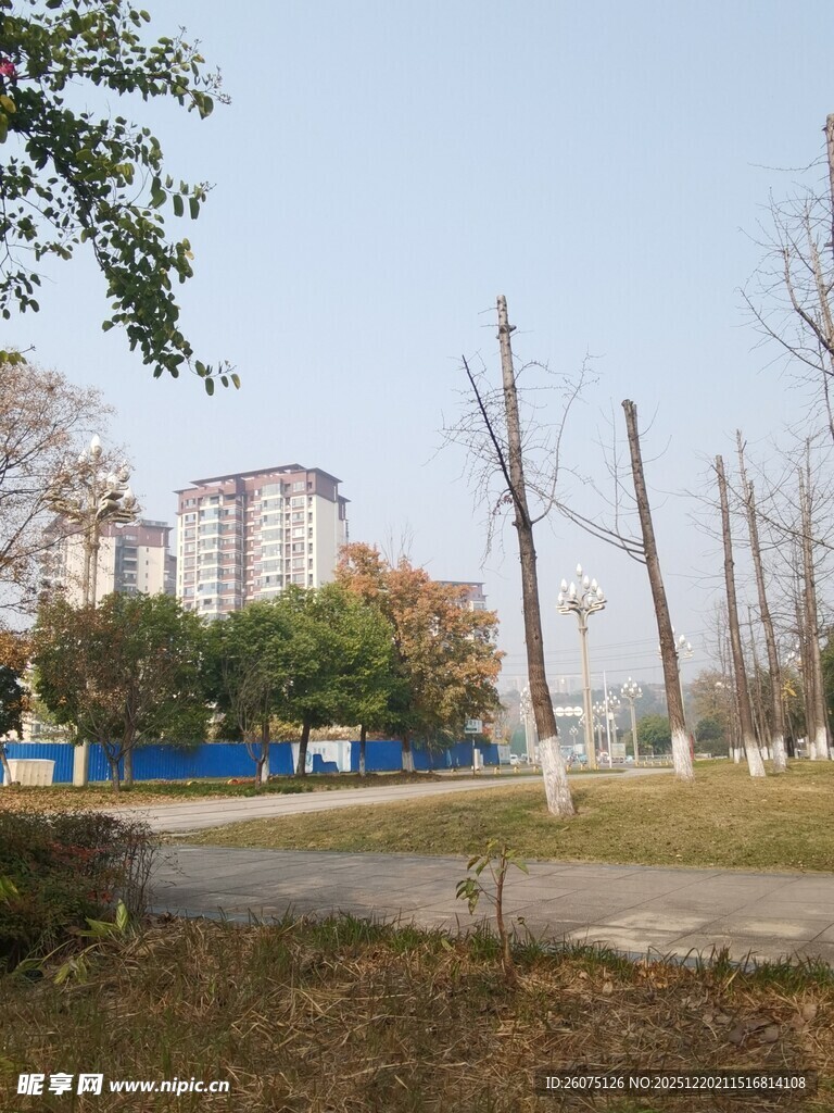 城郊冬日空旷道路景象