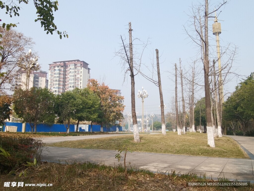 城市公园冬日景致