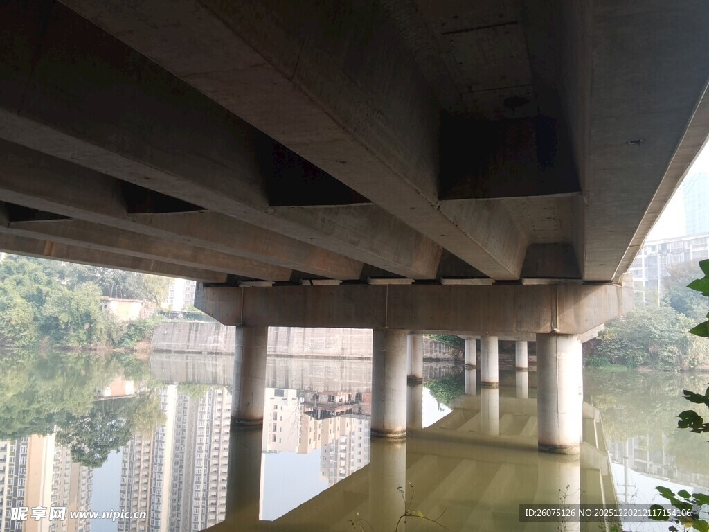 桥下绿水与城市景观