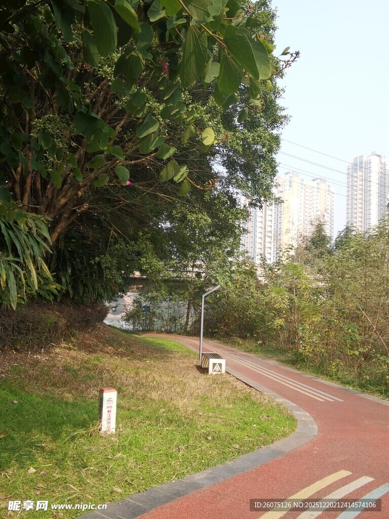 城市中的蜿蜒彩色步道