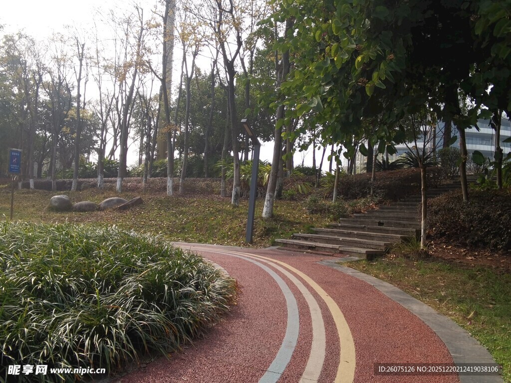 林间彩色蜿蜒步道