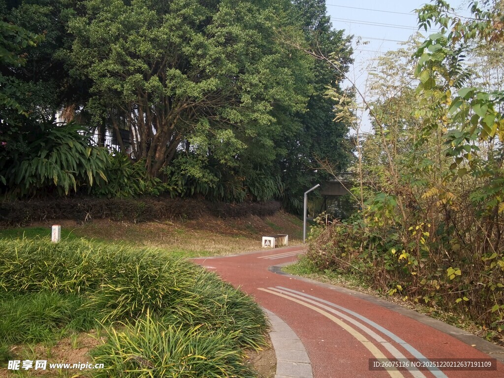 林间彩色蜿蜒健身步道