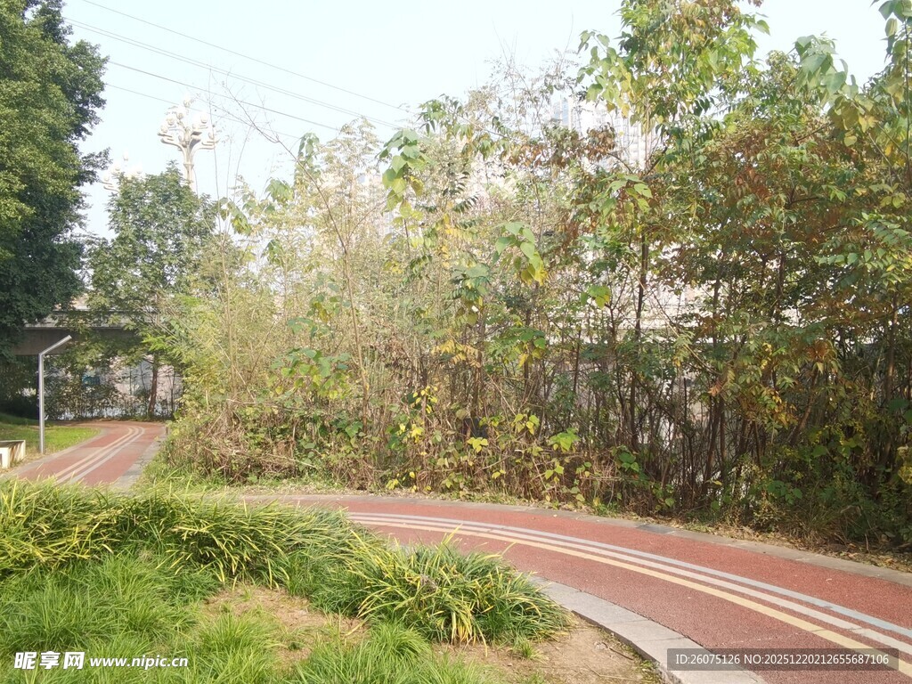 林间蜿蜒的红色骑行道