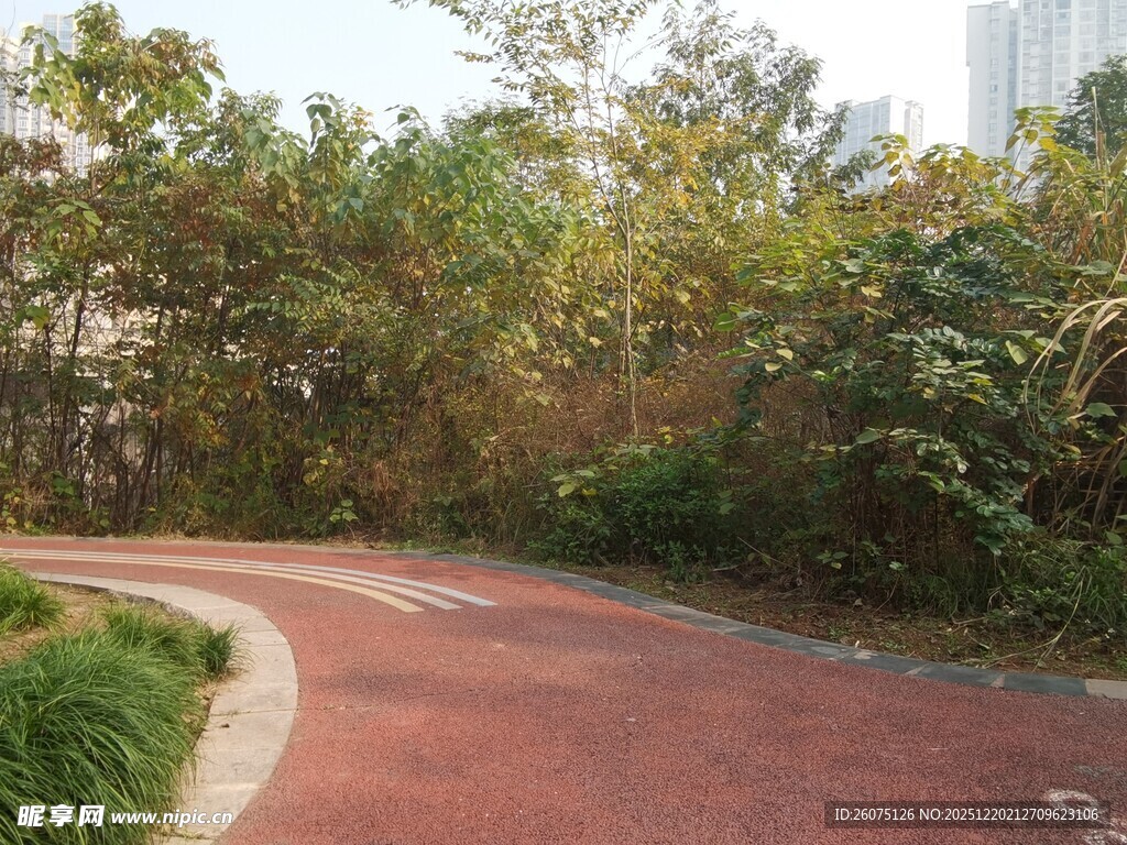 林间红色健身步道