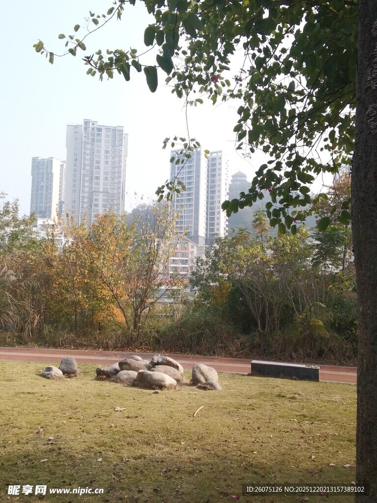 城市公园草地与远处高楼