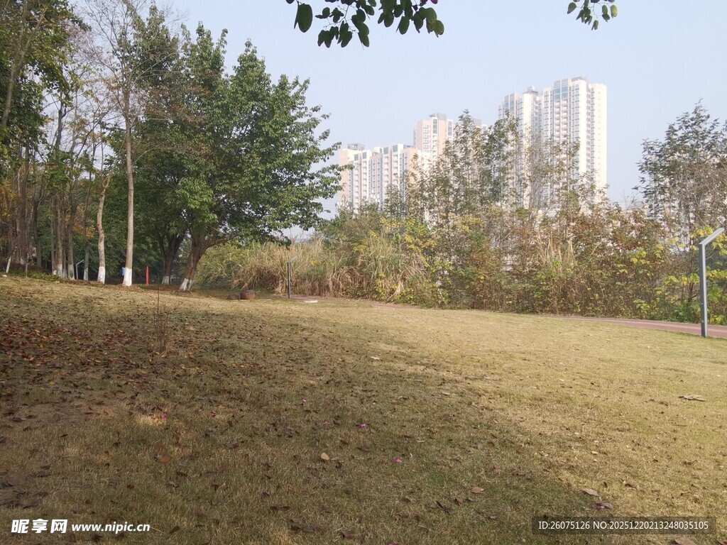 户外开阔草地与树木景观