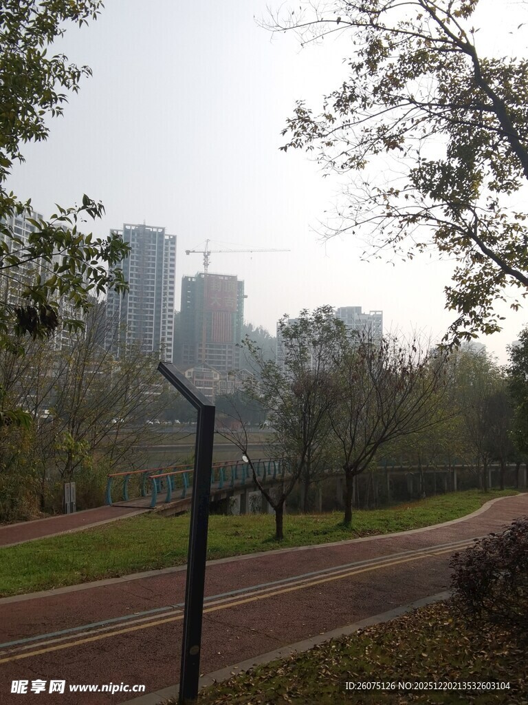 城市公园中的静谧景致