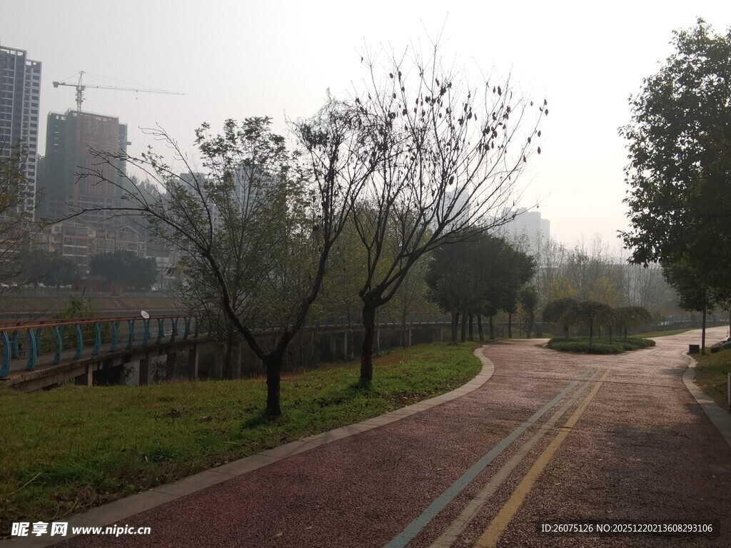 城市公园中的宁静小路