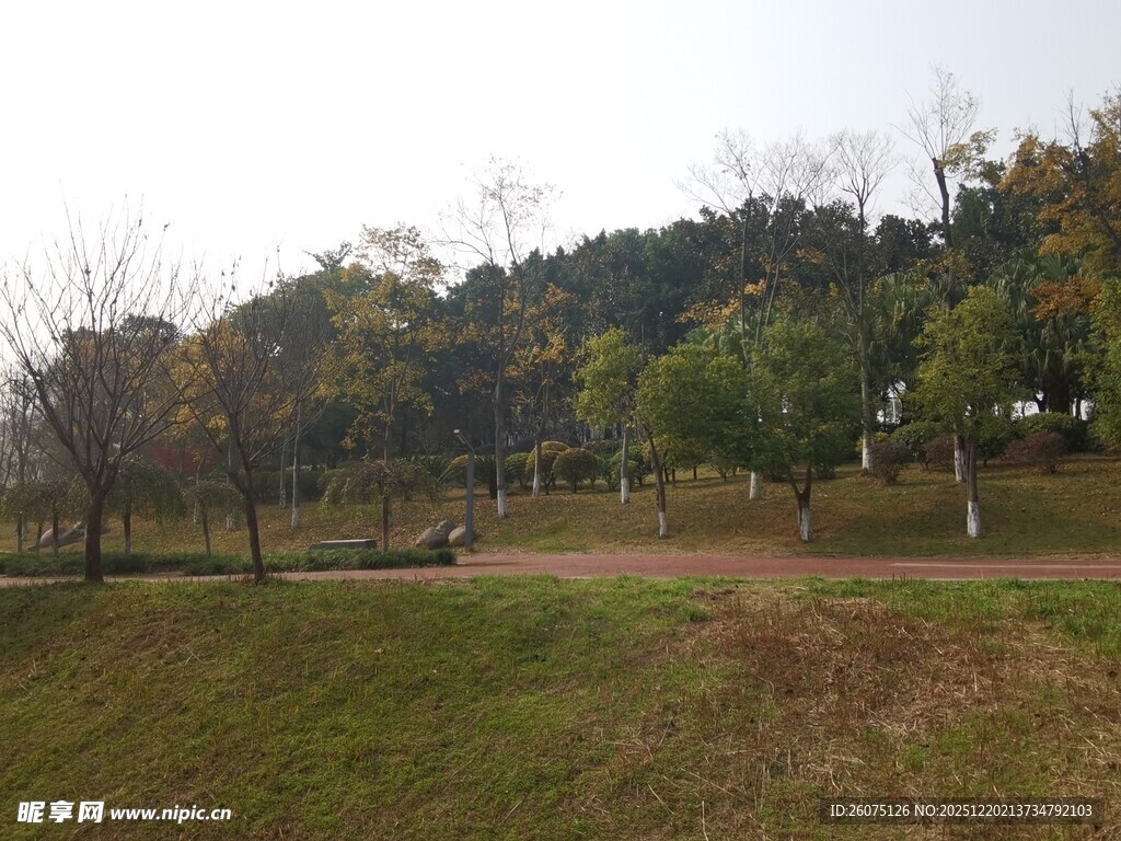 户外开阔草地与树木景观