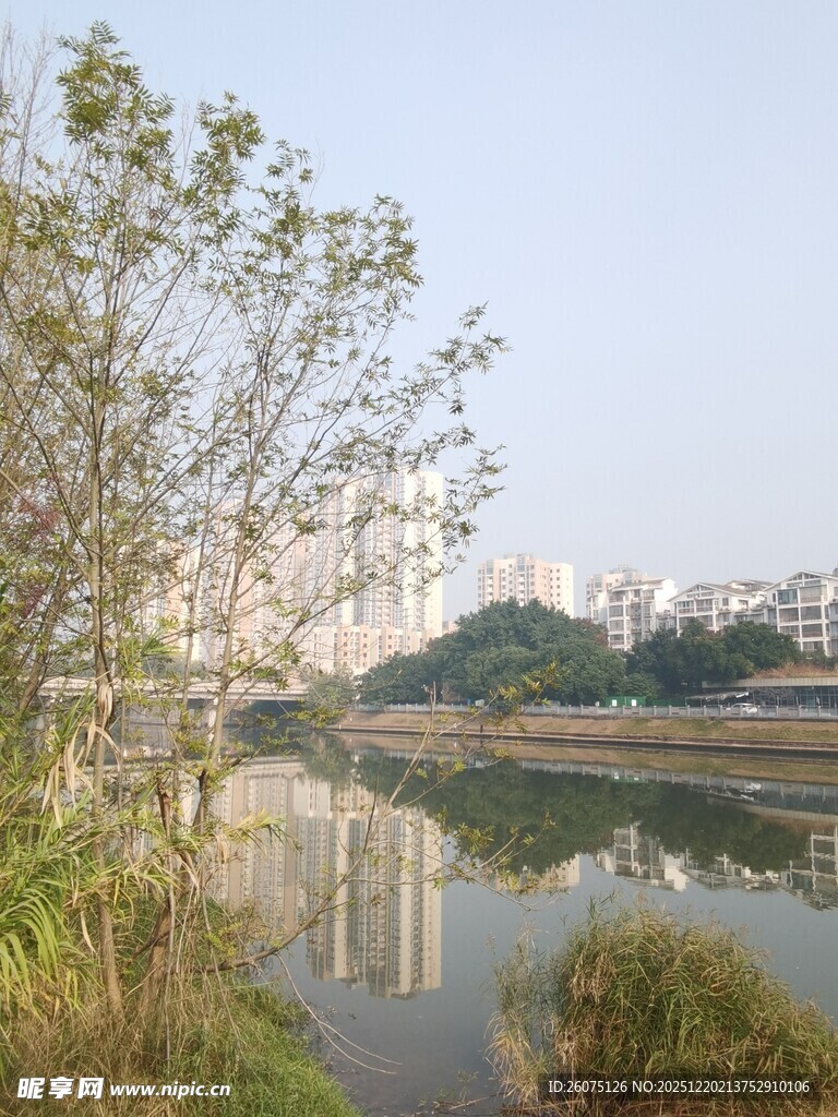 河畔风景美如画