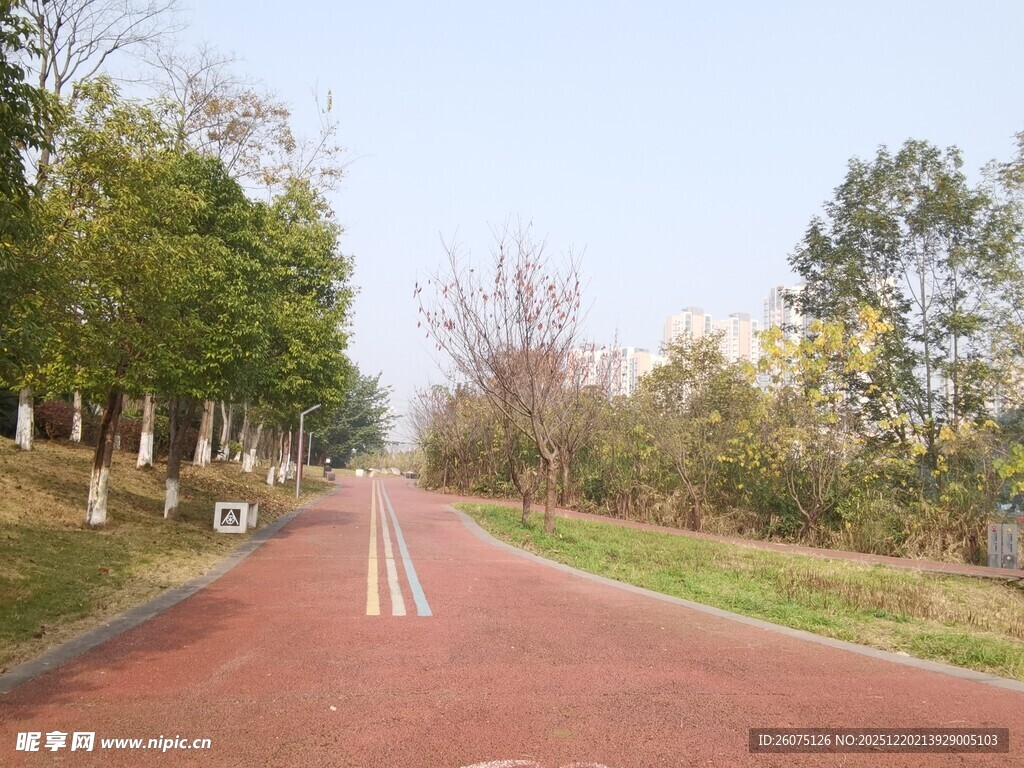 红色林间骑行道风景