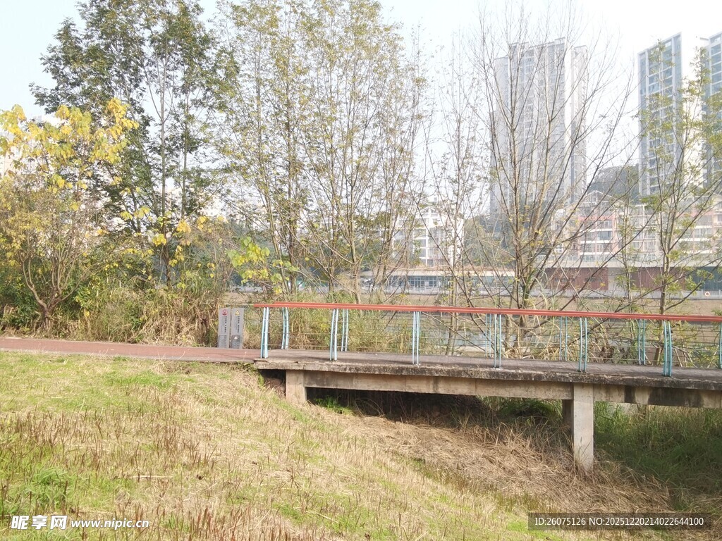 城市中的自然景观小桥