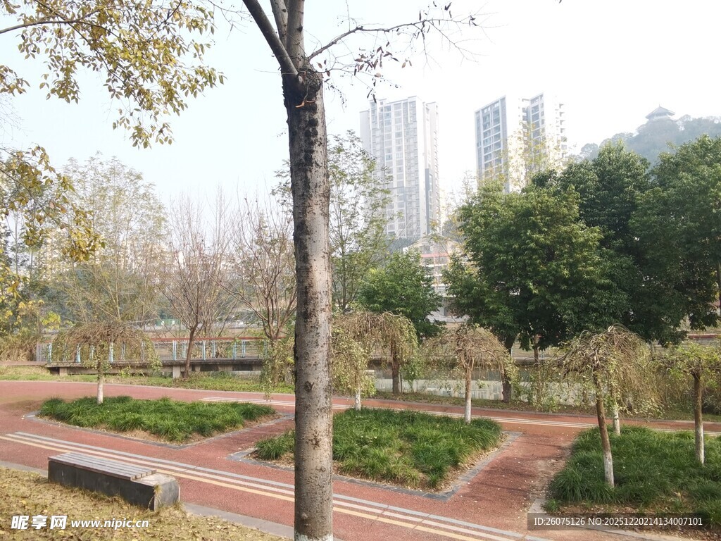 城市公园中的静谧休闲场景