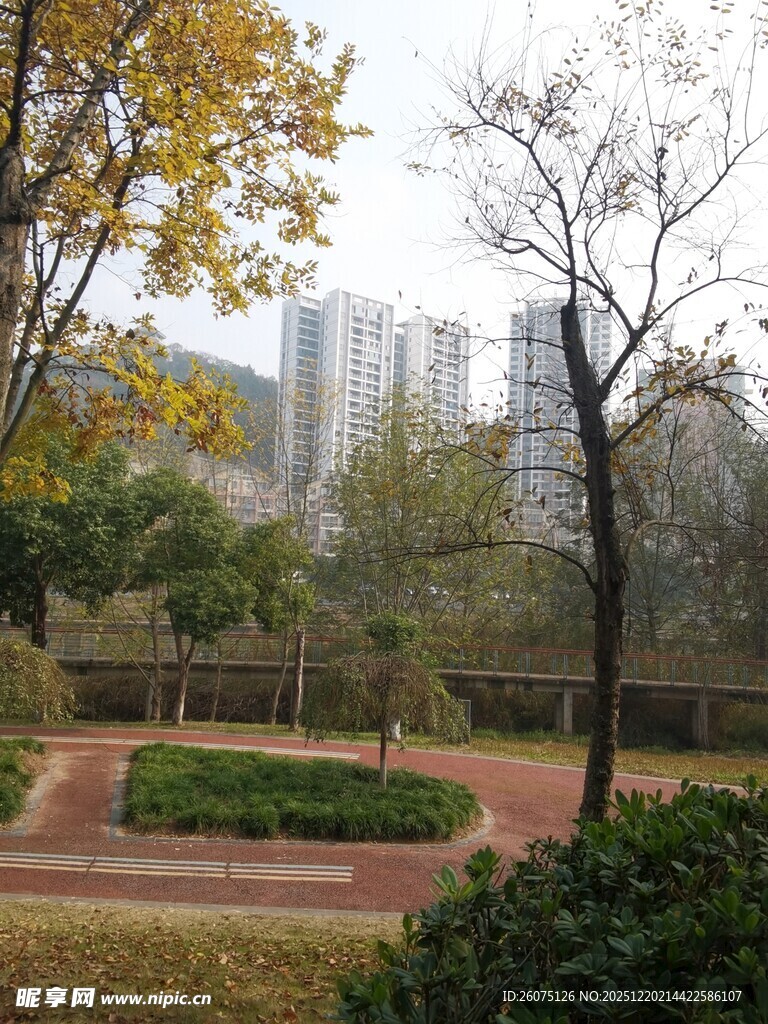 秋日城市公园静谧景致