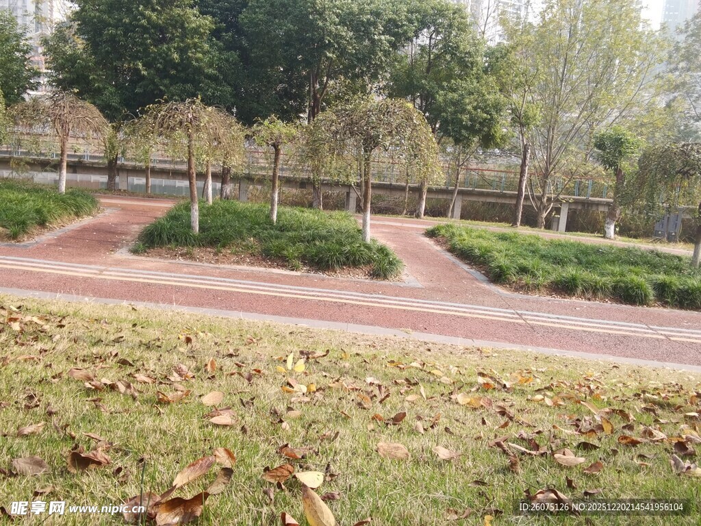 公园内的步道与绿植景观