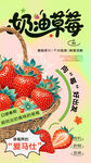 草莓采摘活动