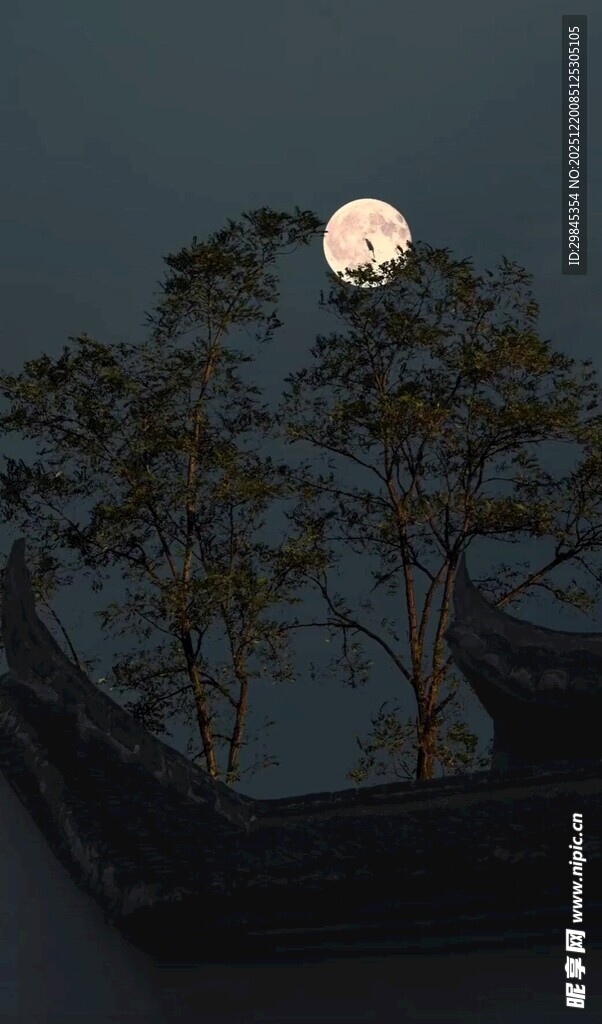 月夜下的树木景观