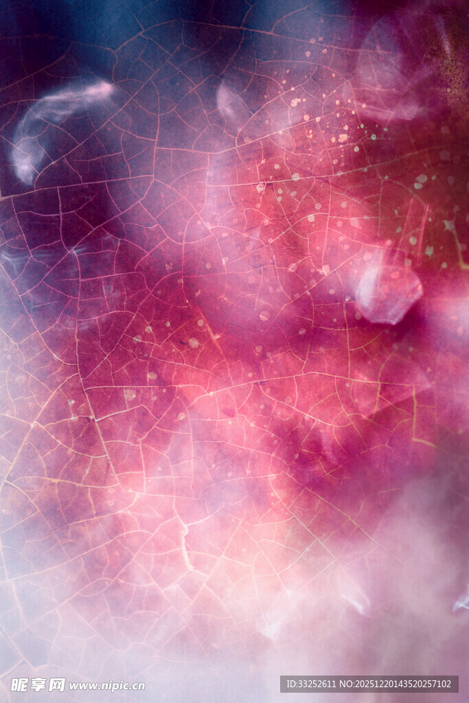 梦幻绚烂的抽象光影画面