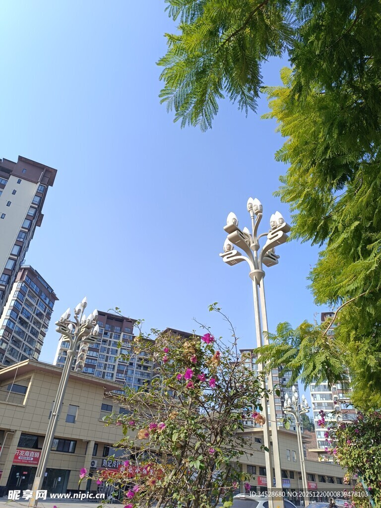 城市街道旁的绿植与建筑