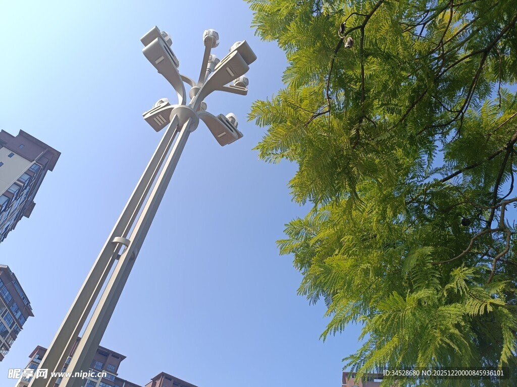 高耸路灯与葱郁树木相映