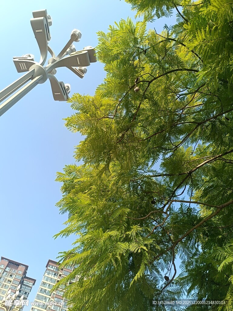 蓝天绿树间的监控设备