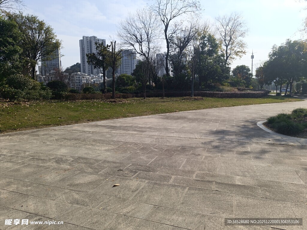 空旷水泥场地与周边树木