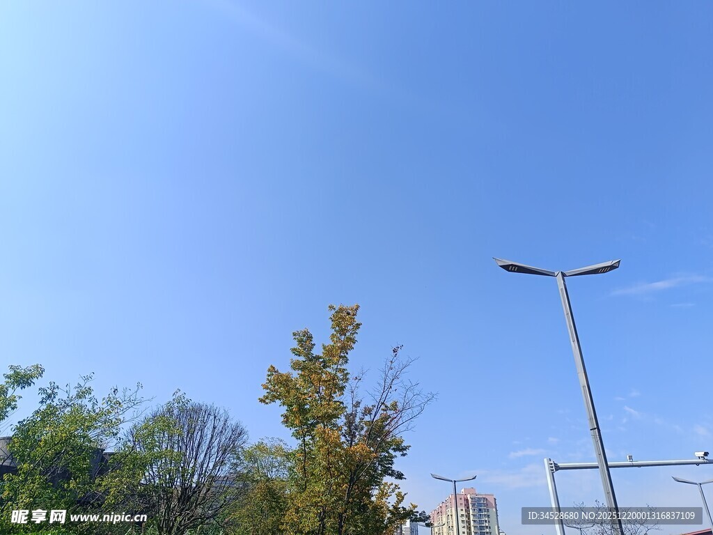 蓝天绿树旁的路灯