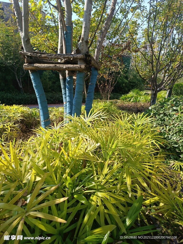 园林绿植景观中的木架