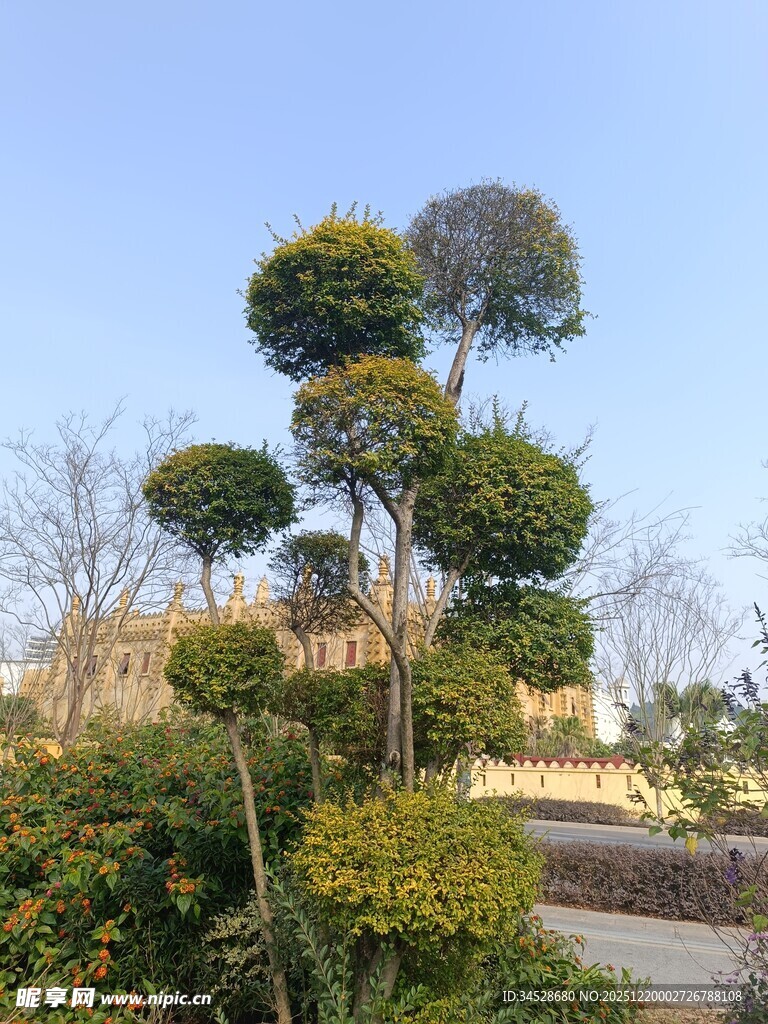 造型独特的园林绿植景观