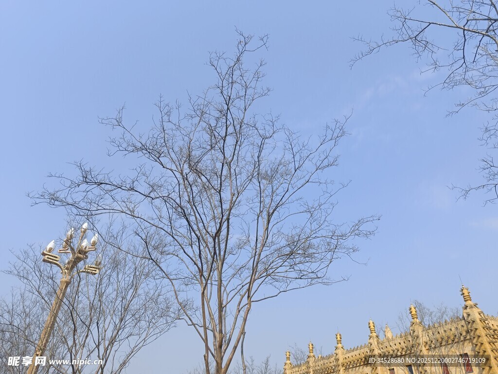 蓝天枯枝旁的古典建筑