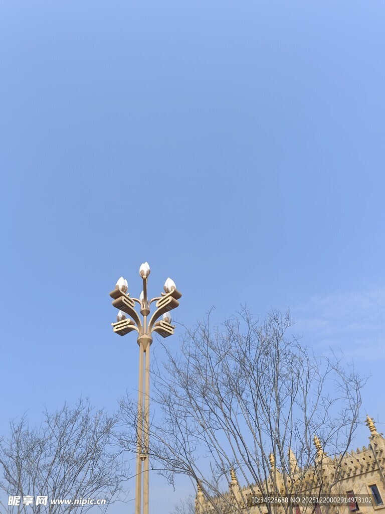 户外路灯与光秃树木景观
