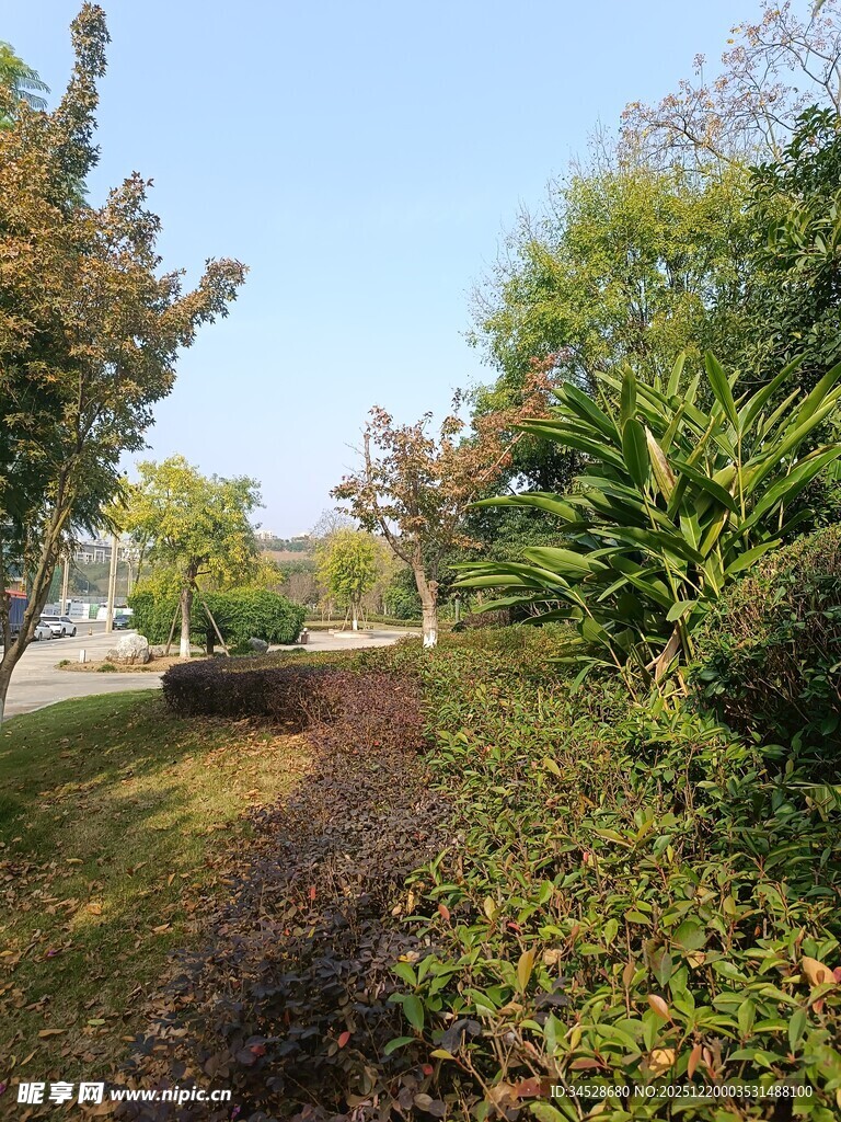 秋日林荫小道景观