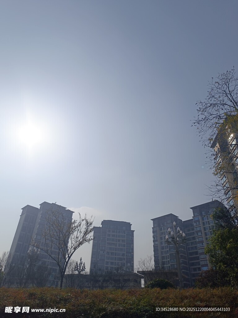 阳光下的城市高楼景观