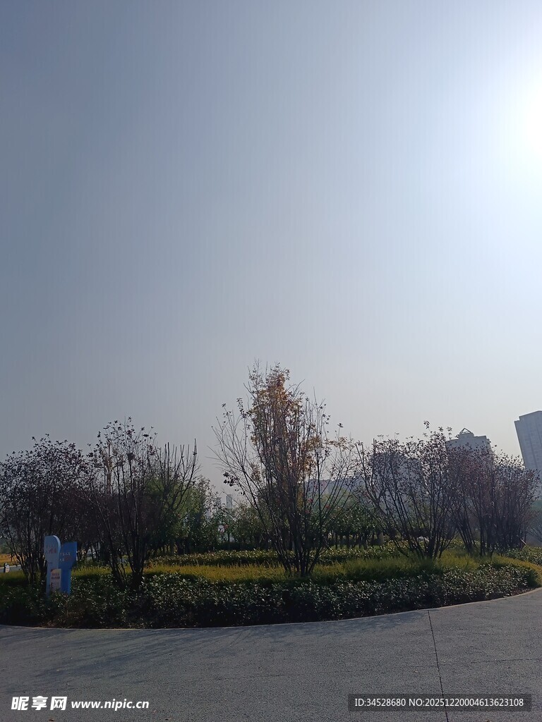 城市户外开阔绿化景观