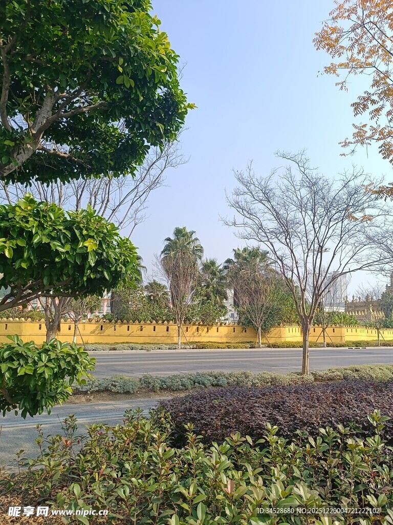 户外园林景观优美景色