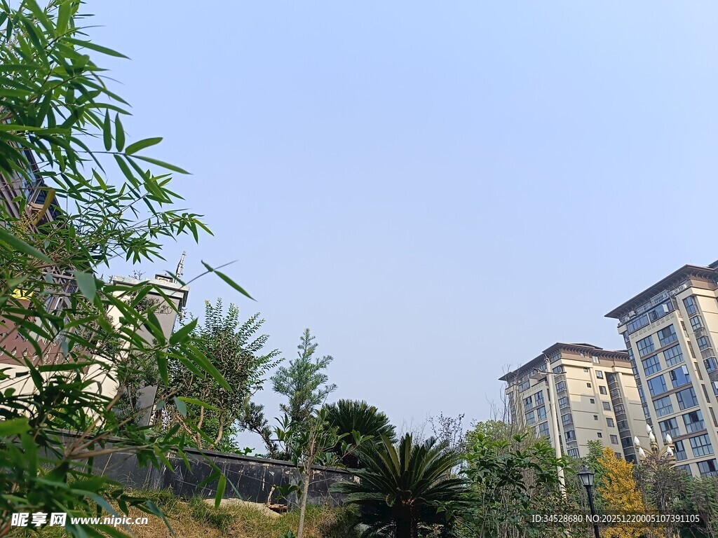 小区周边绿植与建筑景观