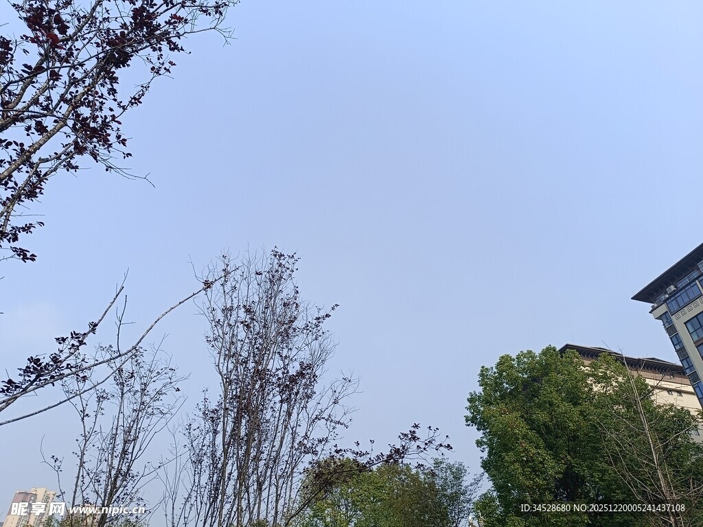 户外树木与建筑物景观