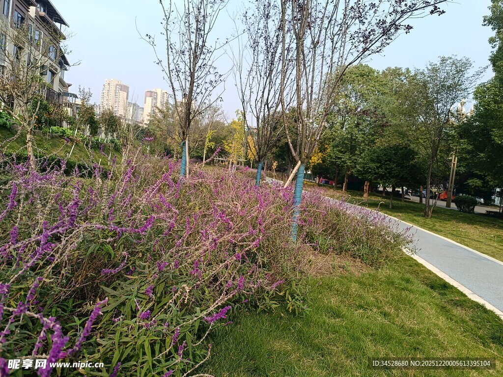 秋日公园花草小径美景