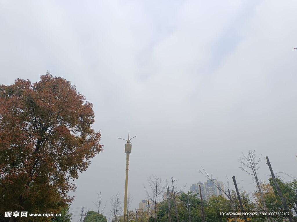 雾中树木与远处高塔景观