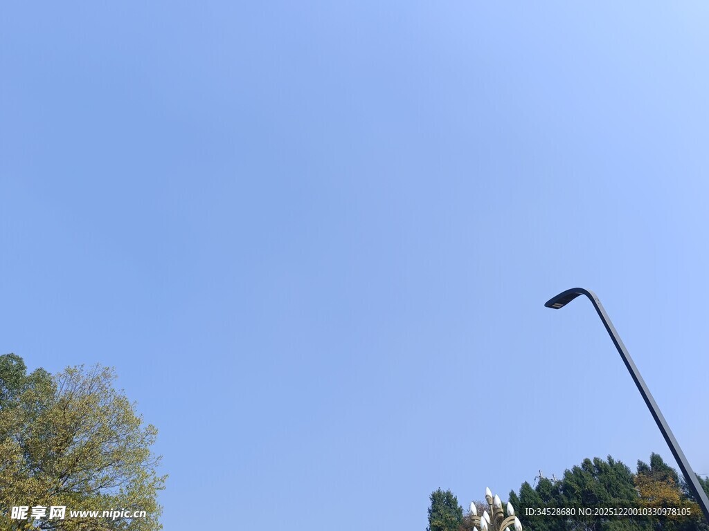 蓝天绿树旁的路灯