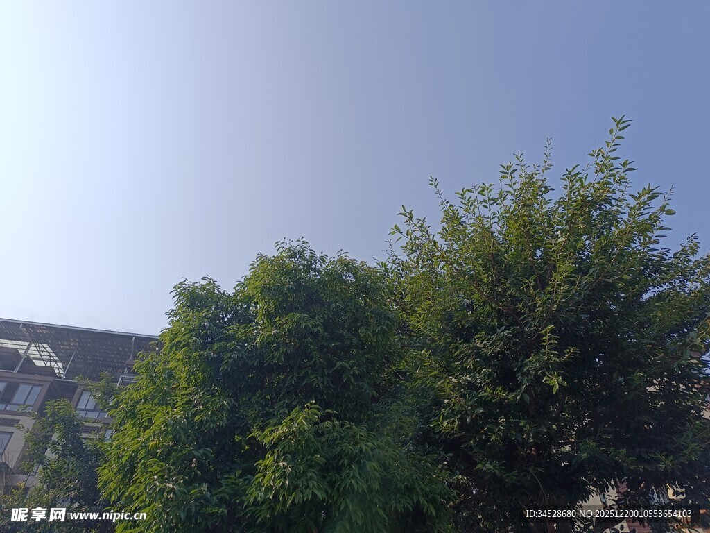 绿树蓝天的户外景致