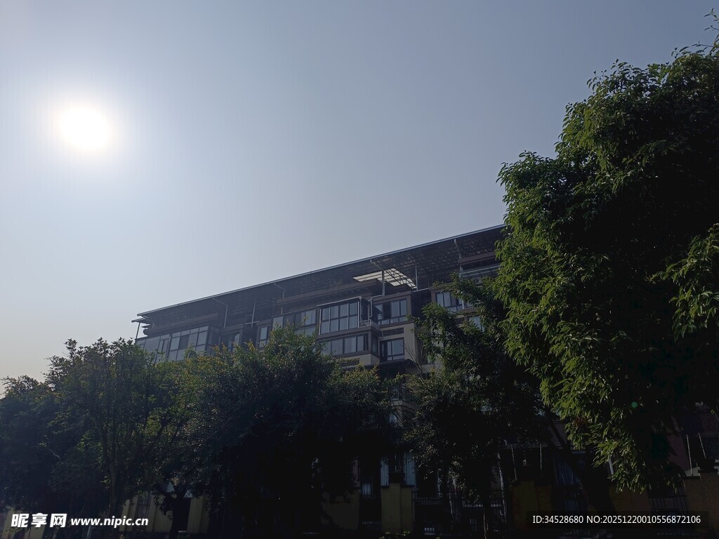 阳光下的建筑与绿树