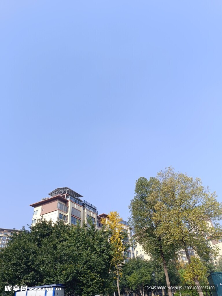 山坡上的建筑与绿树