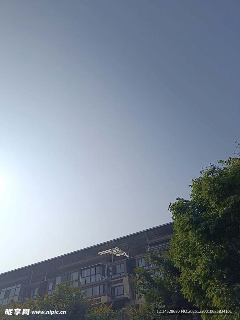 阳光下的建筑与绿树