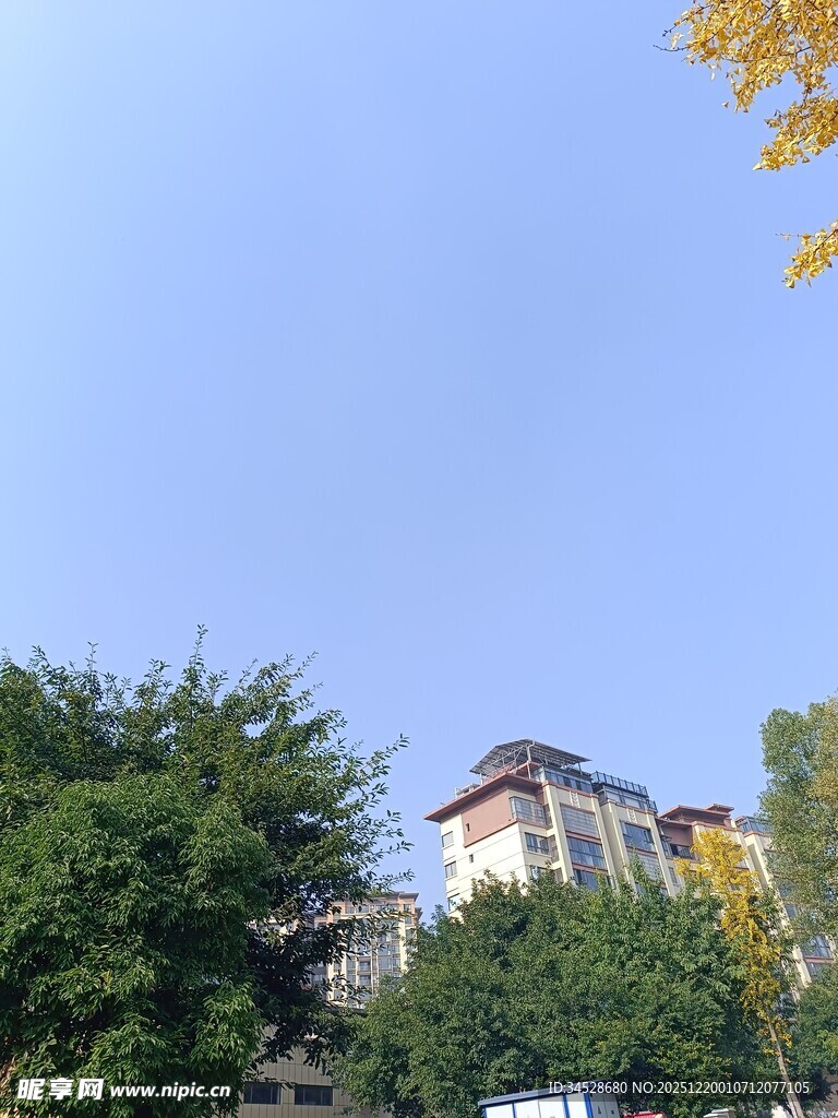 蓝天绿树间的建筑景观