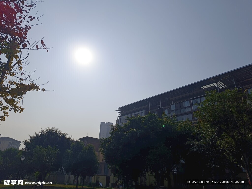 阳光下的建筑与绿植