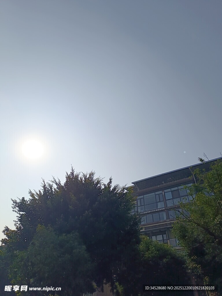 阳光下的建筑与绿植