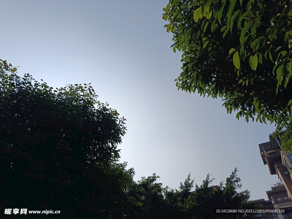 绿树蓝天间的建筑一角