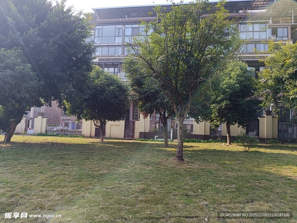 校园中的绿树与开阔草地